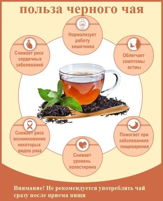 Чем полезен черный чай: свойства, вещества, польза и вред, рецепты