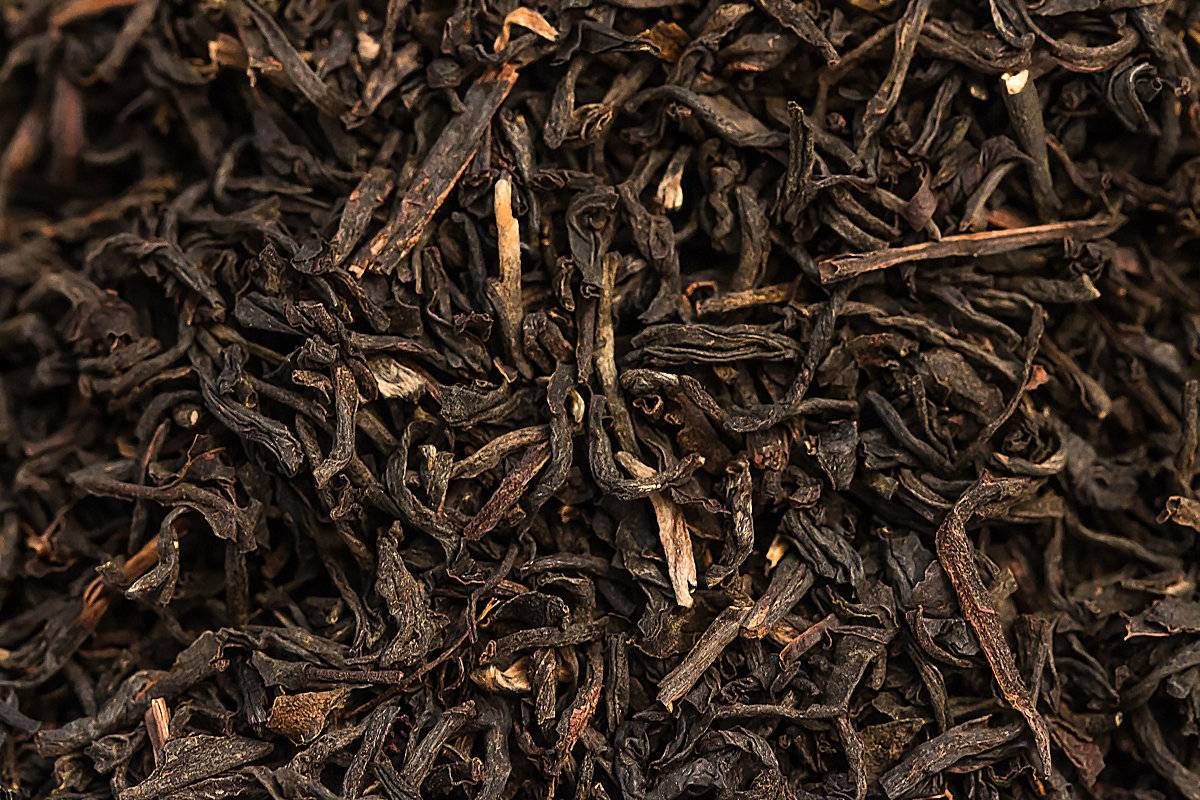 Индийский чай ассам: описание, виды, отзывы
