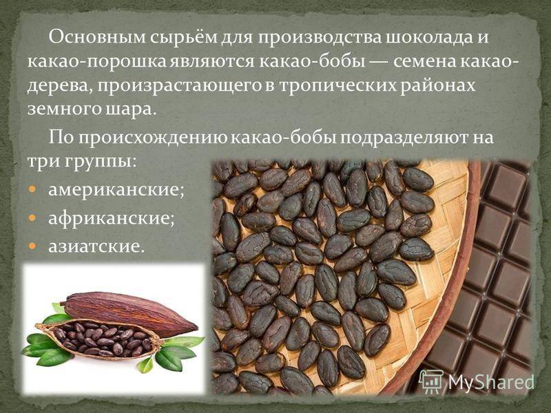 Какао: польза и вред для здоровья организма человека