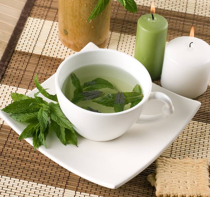 Пьем чай с мятой: можно ли заваривать цветы или листья и как правильно это делать?