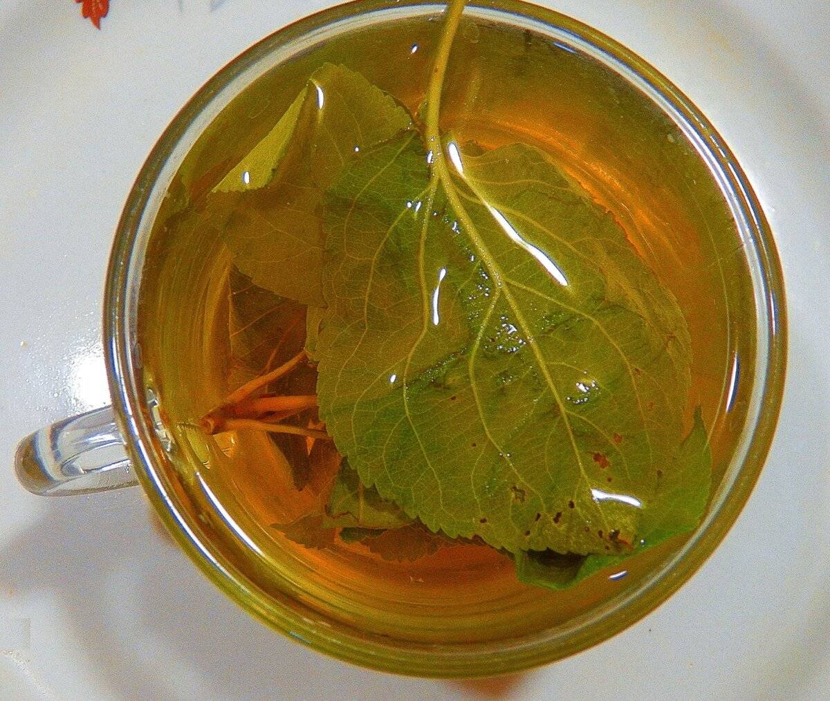 Чай из листьев инжира – полезные свойства