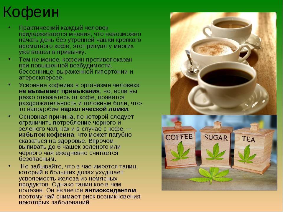 Сравнение содержания кофеина в чае и кофе