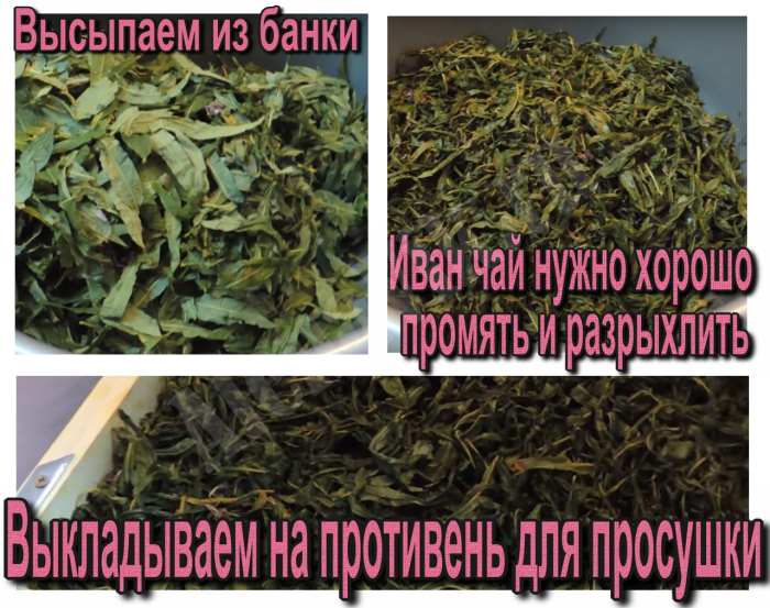 Иван-чай ферментированный, способы ферментации, в чем польза?