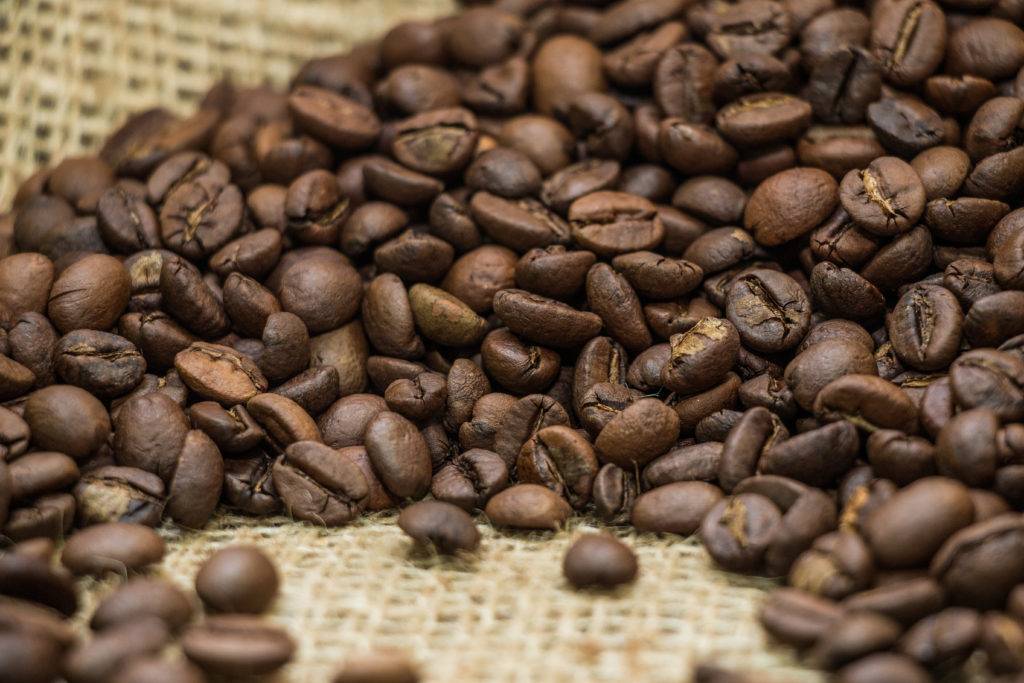 Кофе в зернах: виды кофейных деревьев, рейтинг стран-производителей и известных брендов