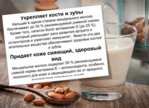 Мифы и реальность про пользу и вред кофе с молоком