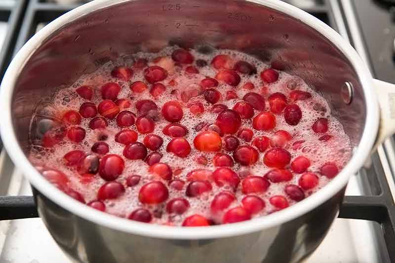 Кисель из замороженных ягод клюквы и брусники рецепт с фото пошагово - 1000.menu