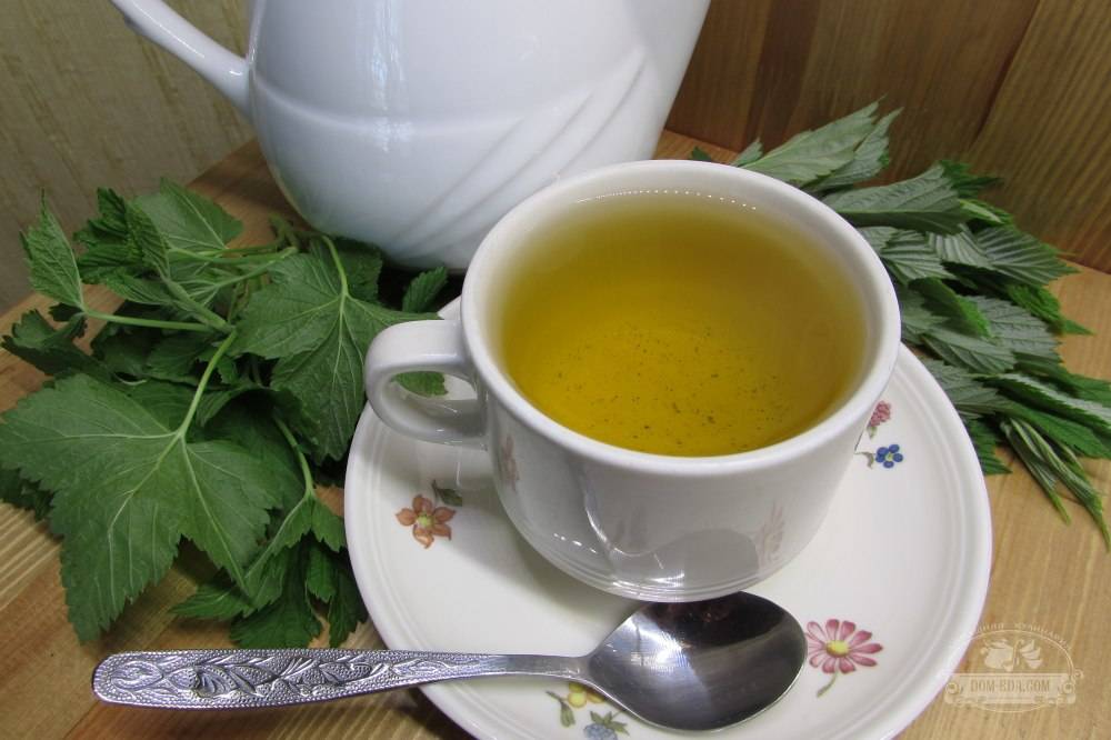 Чай с мятой: польза и рецепты с чабрецом, имбирем, лимоном, смородиной и другими добавками