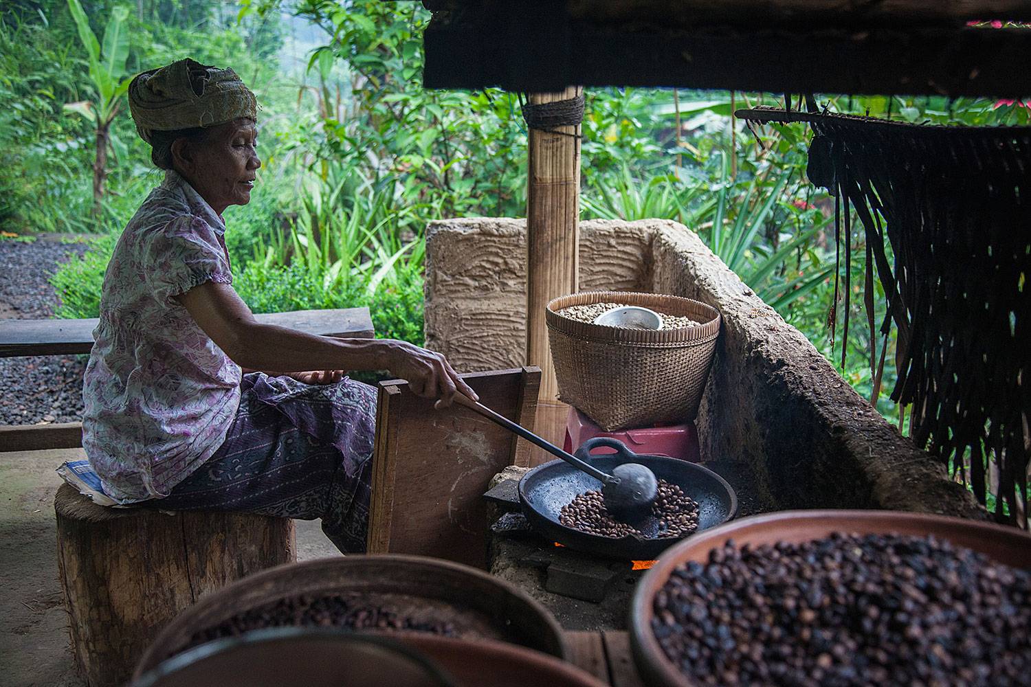 Coffee island bali. Лювак Бали. Кофе Лювак Бали. Лювак плантации Бали. Суматра кофейные плантации.