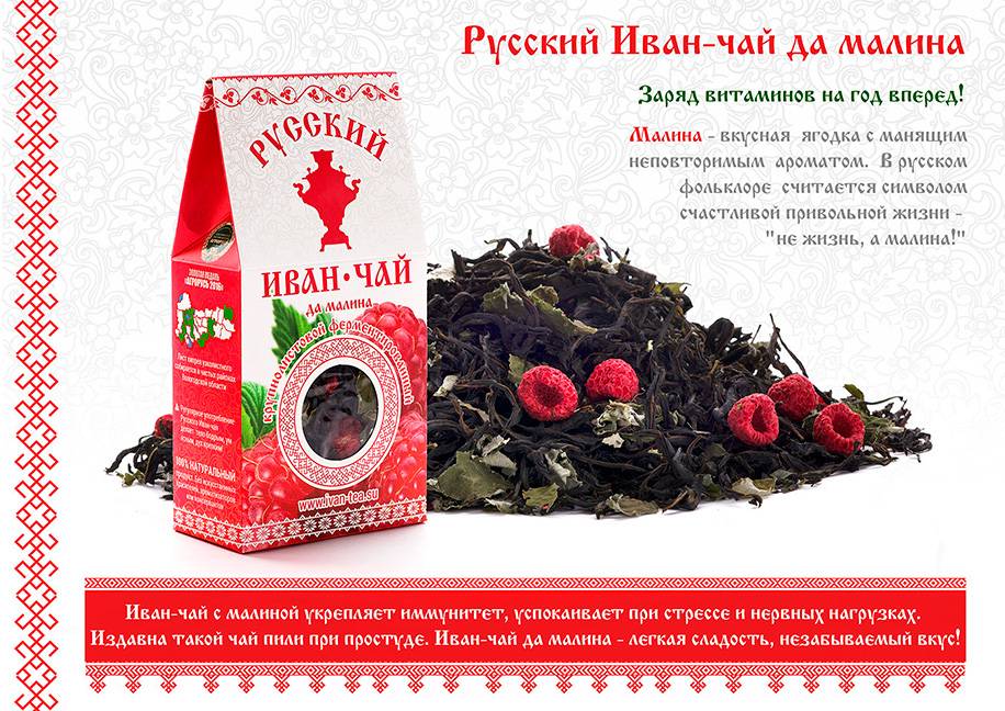 Иван-чай — 7 лечебных свойств и противопоказания, обзор пользы для здоровья организма женщин и мужчин