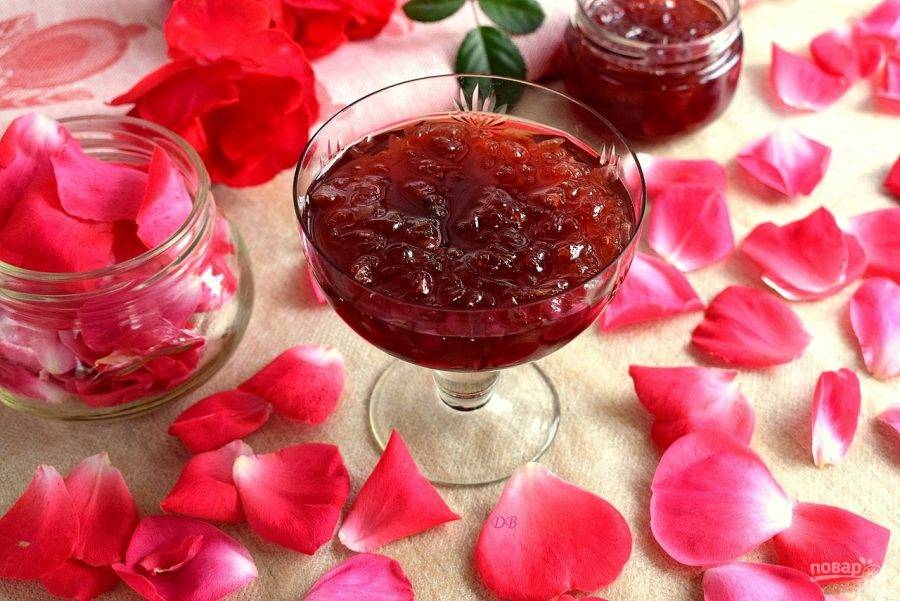 Чайная роза: польза и вред для организма, народные рецепты