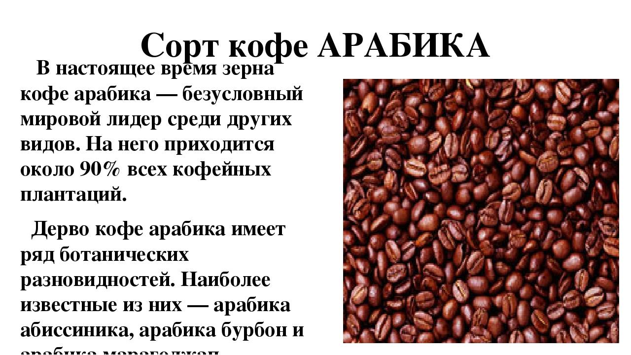 Чем отличается кофе из разных стран мира, и почему он разный? - российская ассоциация бариста
