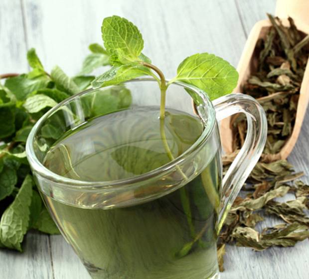 Чай является ли мочегонным средством: зелёный, брусничный, каркаде, ромашковый