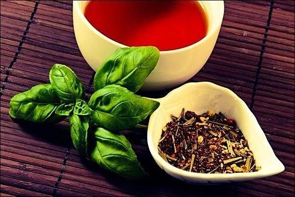 О свойствах чая с базиликом и его рецепты