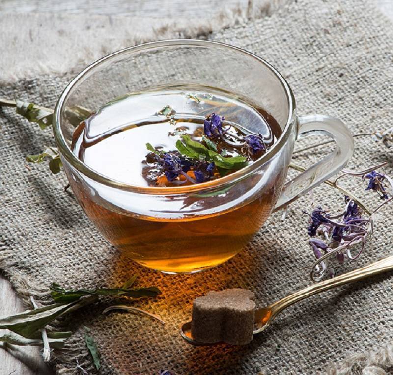 Земляничный чай – польза и вред, полезные свойства чая из земляники