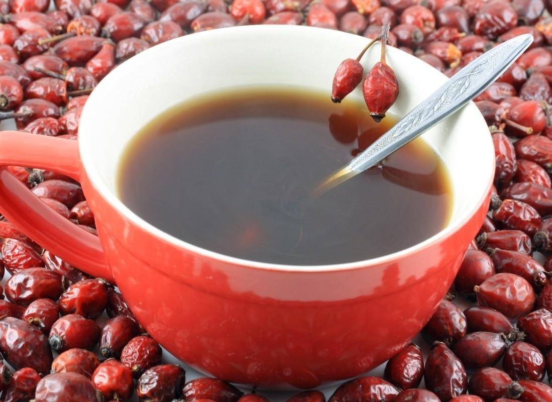 Чай из шиповника: полезные свойства и противопоказания, как правильно заваривать, как часто можно пить