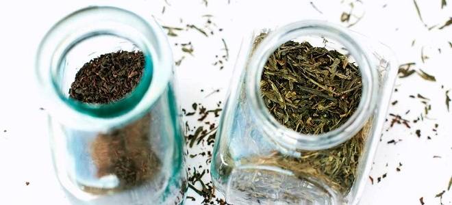 Как правильно выбрать лучший зеленый чай: рейтинг популярных сортов