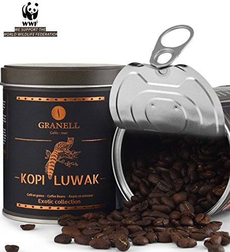 Кофе лювак (kopi luwak) – самый дорогой кофе в мире