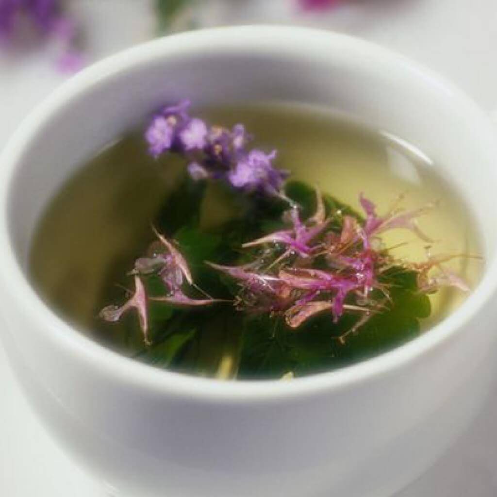 Чай из душицы полезные свойства и противопоказания