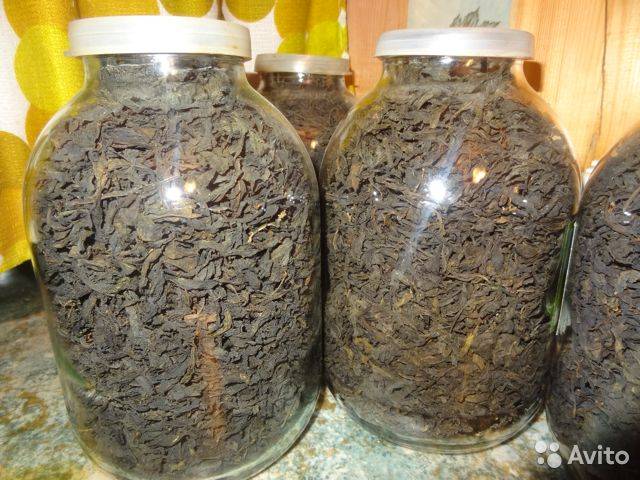 Иван-чай ферментация в домашних условиях, технология, сроки
