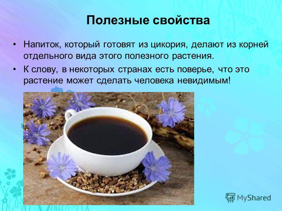Что полезнее для здоровья кофе или цикорий