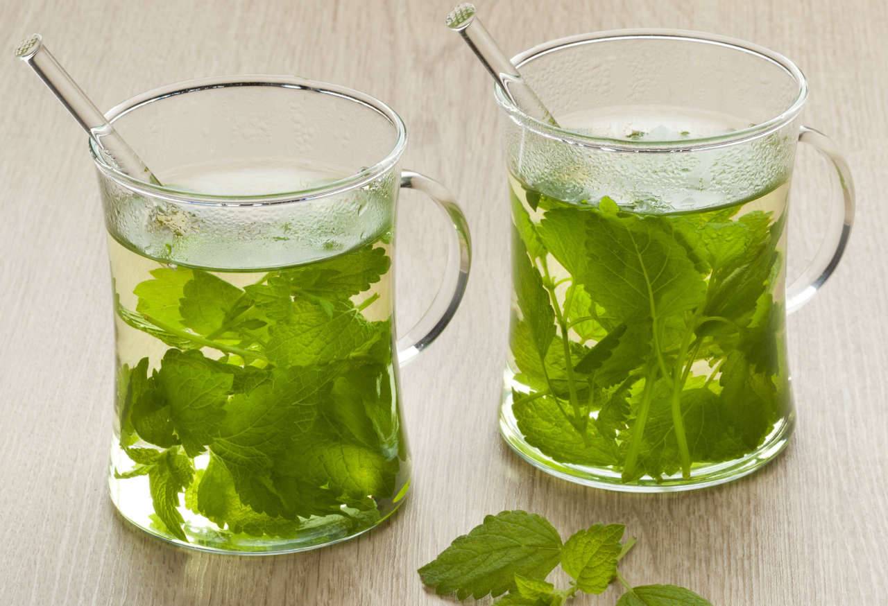 Зеленый чай с мятой польза и вред для мужчин