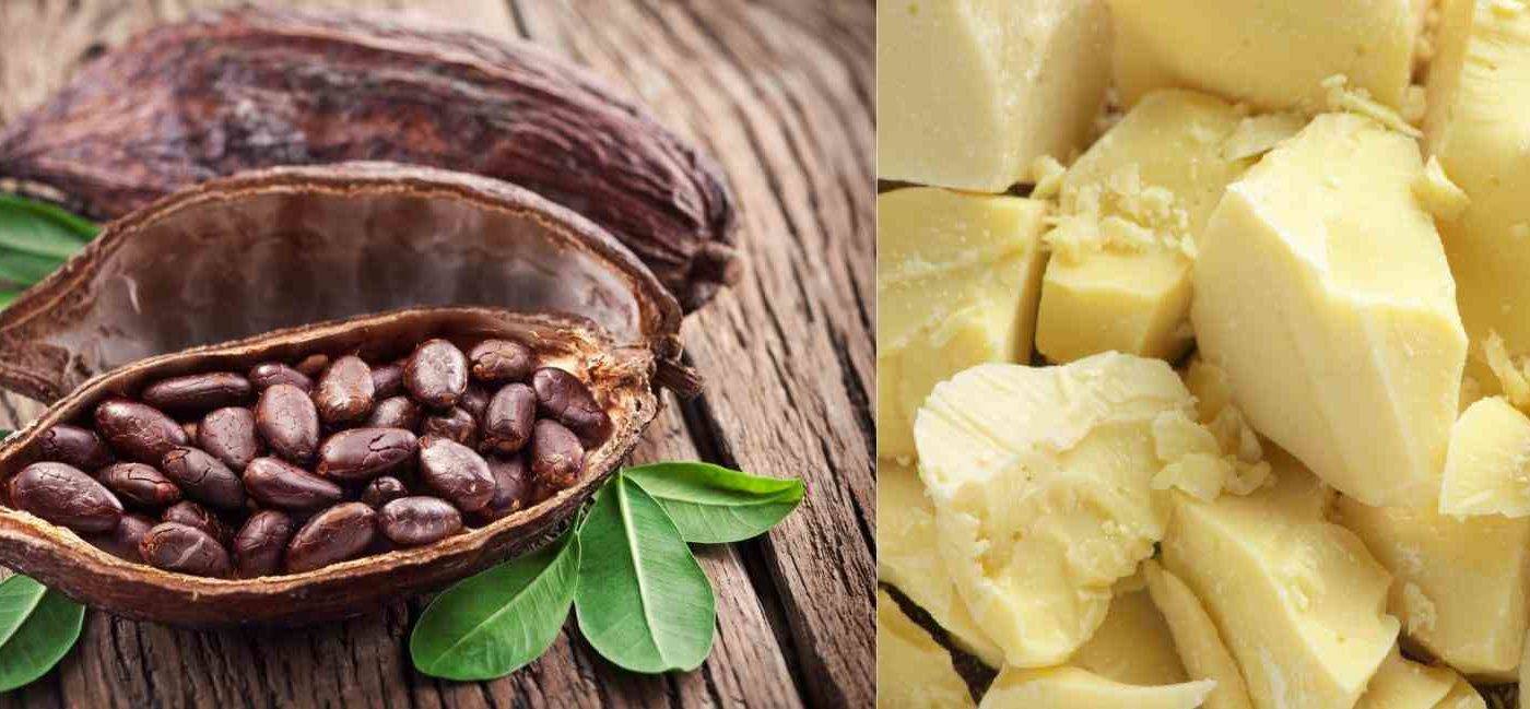 Масло какао: состав, свойства, получение, применение в народной медицине