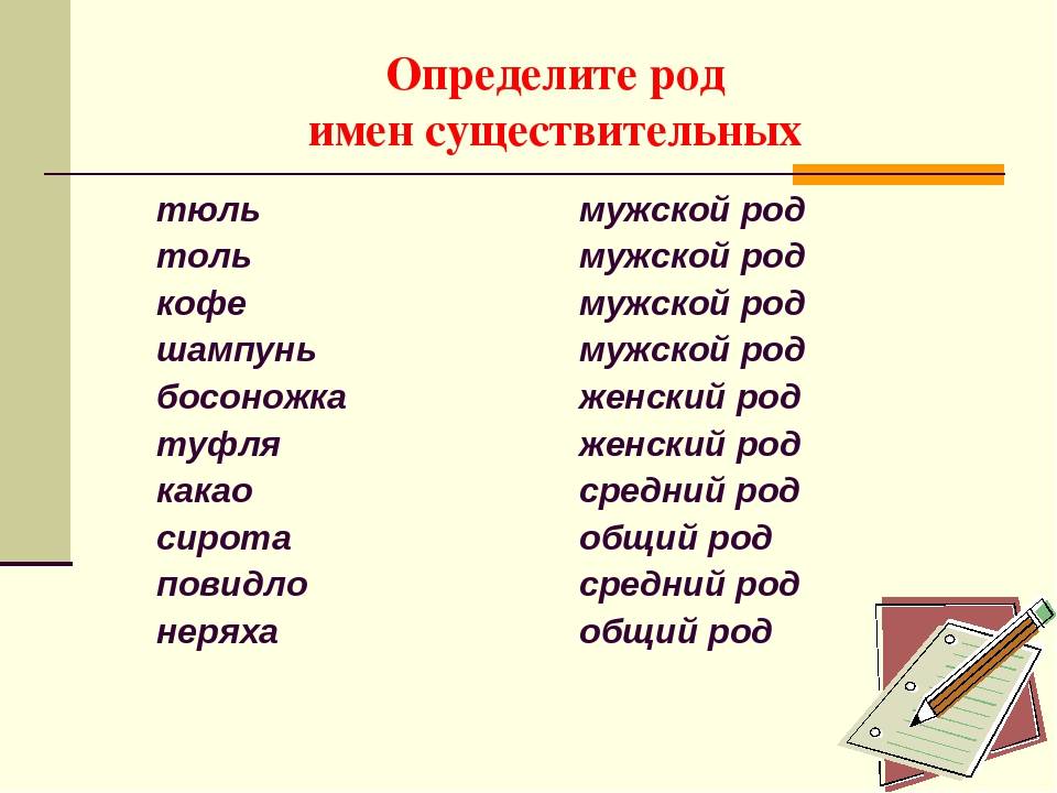 Какого рода слово кофе — разбираемся в русском языке