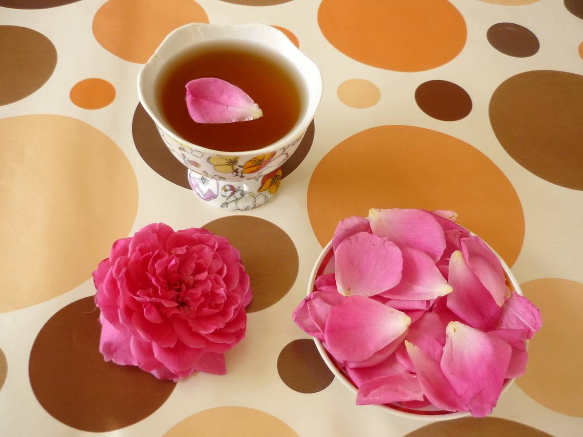 Чай из лепестков розы польза и вред