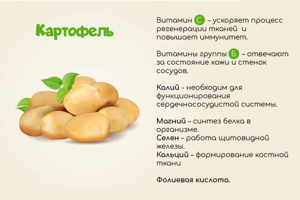 Польза процедур с картошкой при сезонных заболеваниях и их симптомах - как проводить ингаляции (дышать отваром при насморке, кашле и так далее) и другие рекомендации