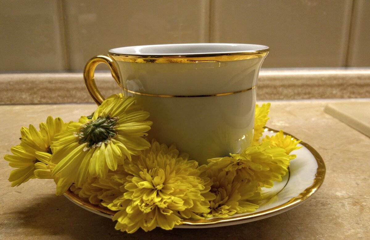Чай с волшебным цветком — хризантемой