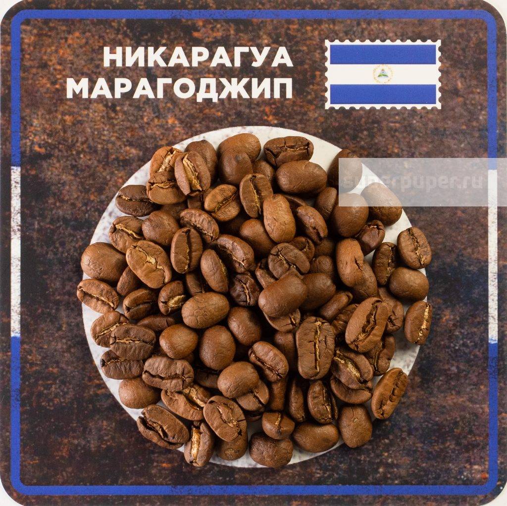 Кофе марагоджип