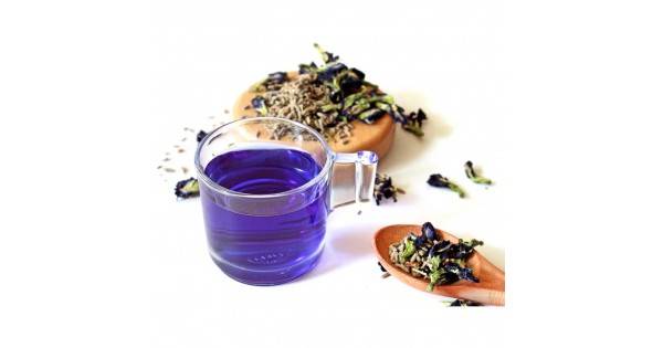 Синий чай анчан из тайланда - отзывы и полезные свойства