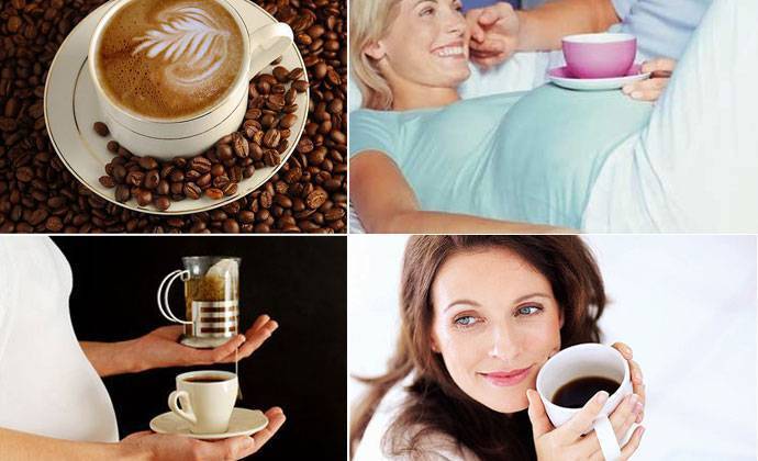 Влияние кофе при планировании беременности: подвижность и количество сперматозоидов, овуляция, гормональный фон