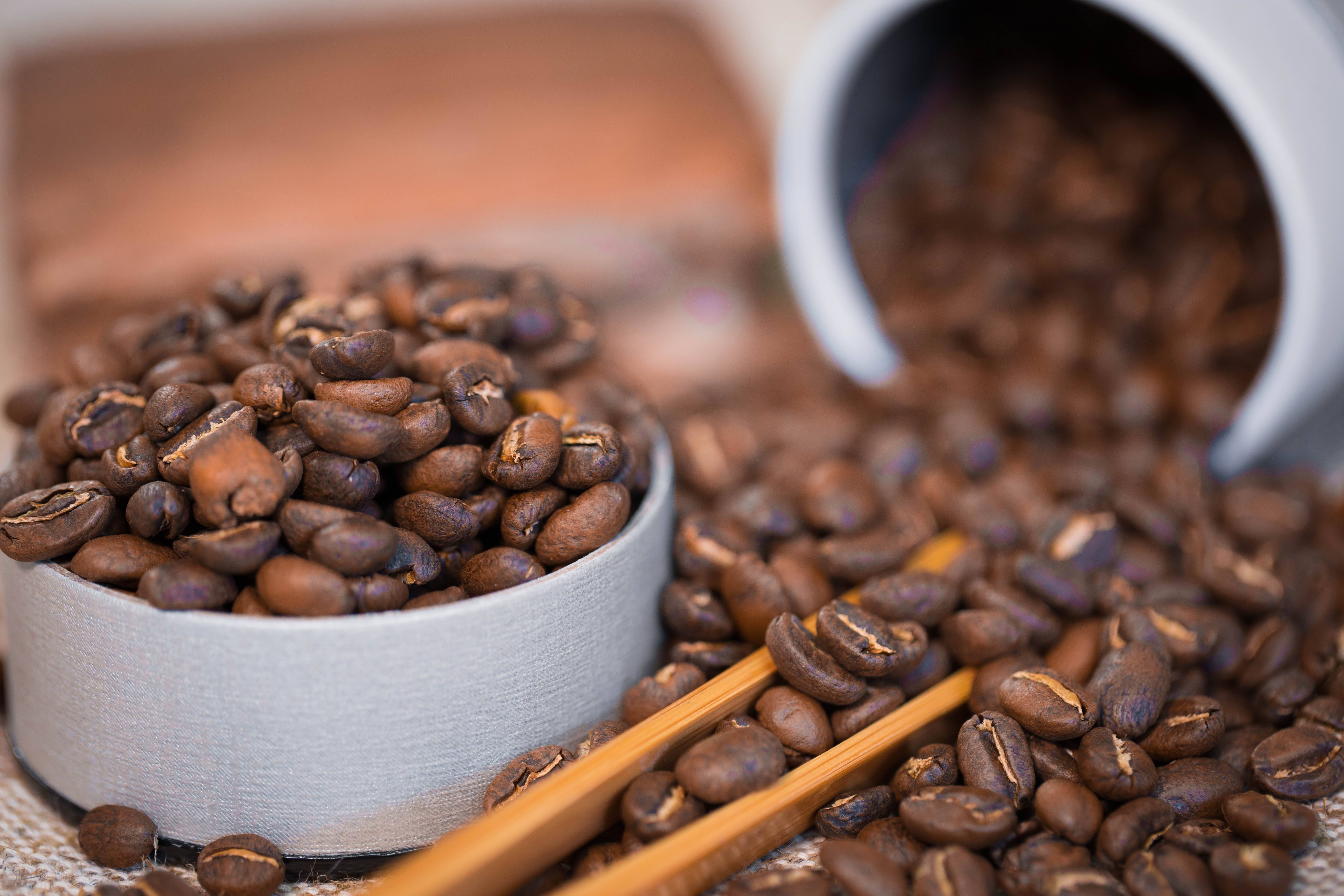 Кофе из эфиопии – сорта, разновидности. что влияет на качество зерен – почва, вода, климат