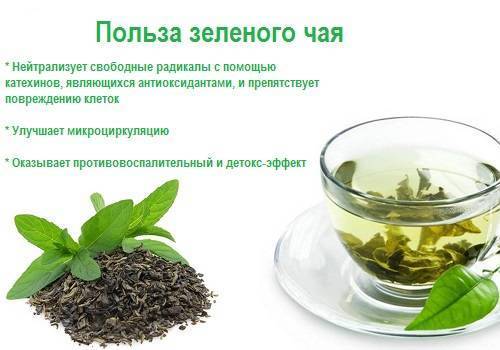 Зеленый чай: польза и вред для женщин, при беременности и грудном вскармливании, для лица и волос,