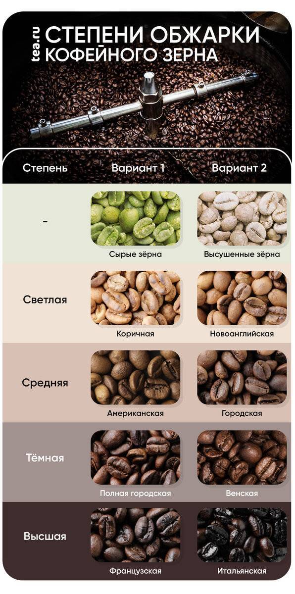 Какой сорт кофе крепче: название, от чего зависит крепость, как определить, польза и вред