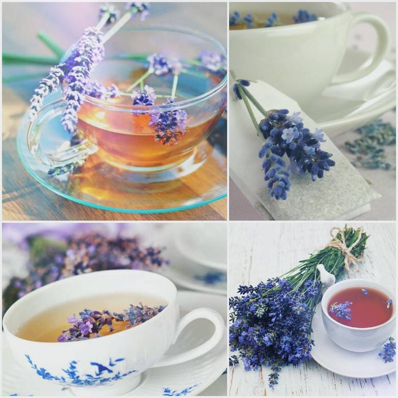 Изысканный чай с лавандой: рецепты и целебные свойства