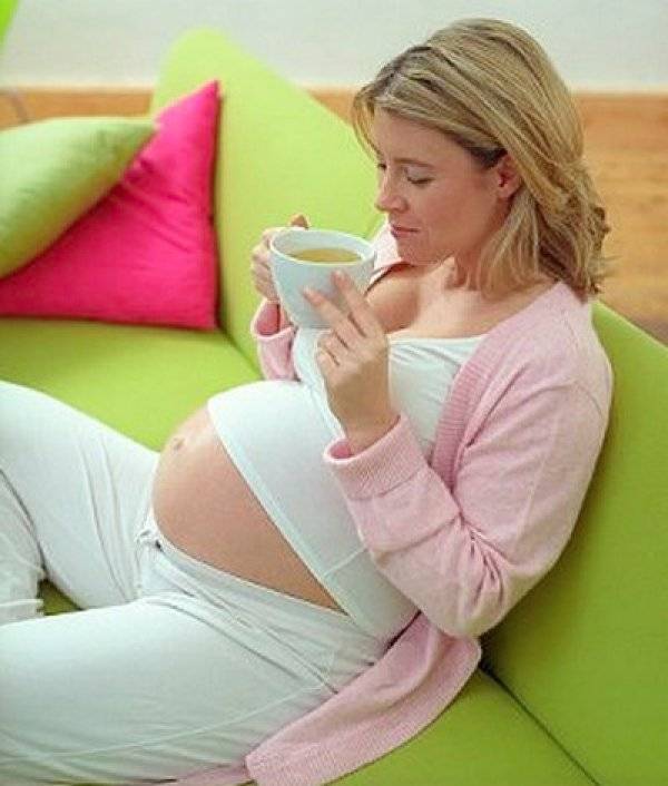 Можно ли пить ромашку при беременности