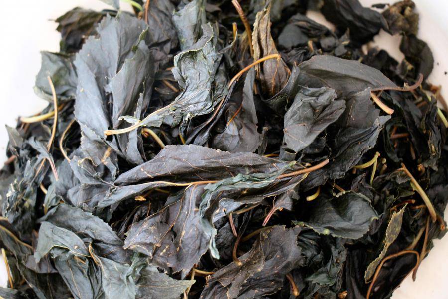 Веточки груши лечебные свойства чая