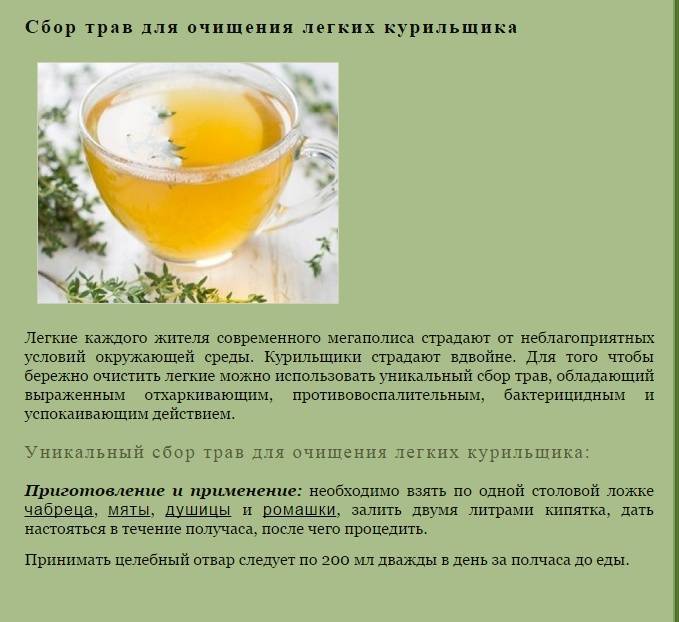 Полезные свойства и противопоказания зеленого чая