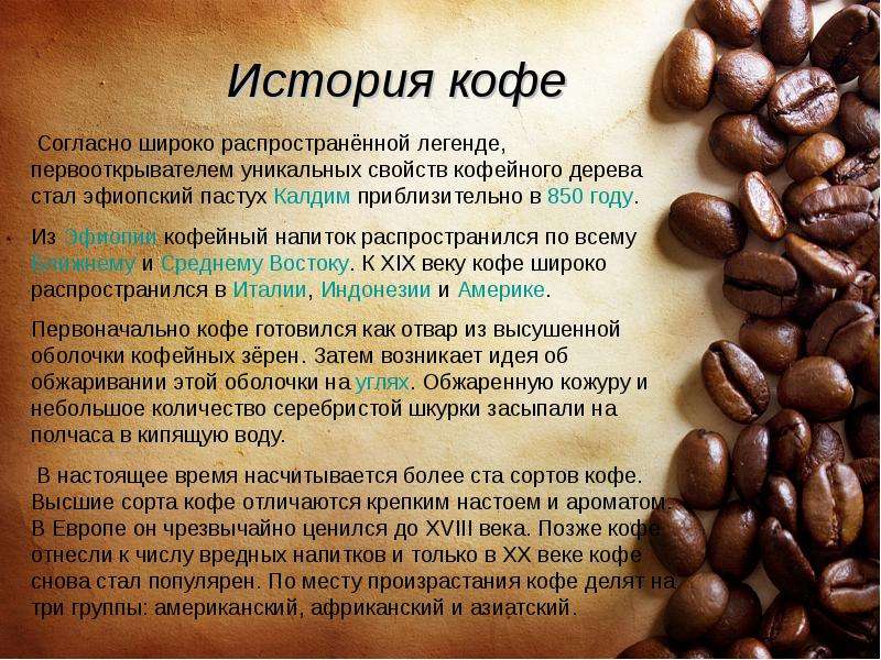 Родина кофе и кофейного дерева