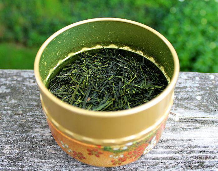 Чай «сенча»: польза и вред, секреты приготовления