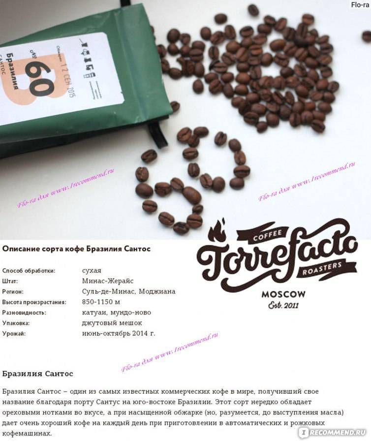Топ-16 лучших брендов кофе – рейтинг 2022 года