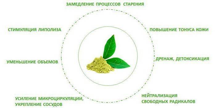 Насколько эффективен зелёный чай для похудения? научные исследования