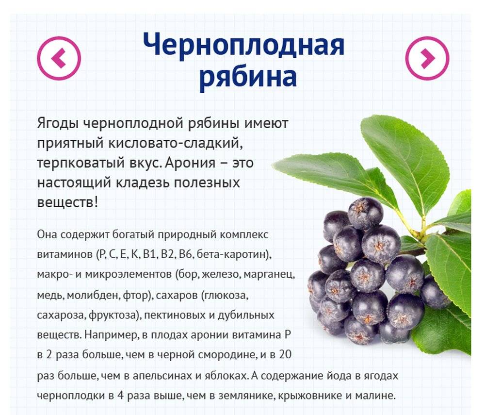 Черемуха обыкновенная: применение выращивание