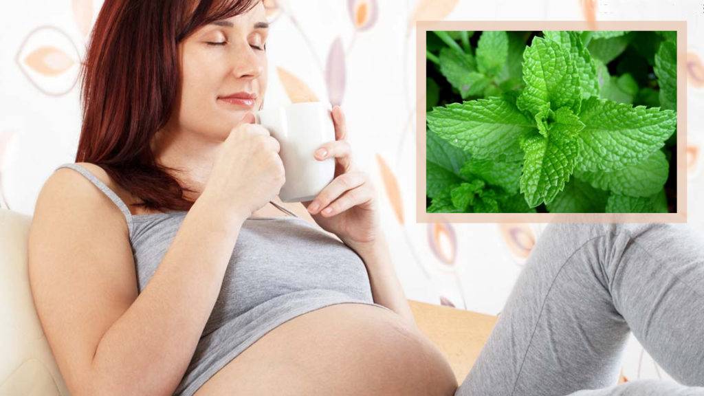 Можно ли пить зеленый чай при беременности, польза и вред напитка