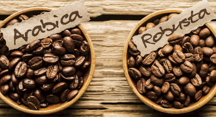 Арабика vs робуста: что нужно знать о самых популярных сортах кофе /  на сайте росконтроль.рф