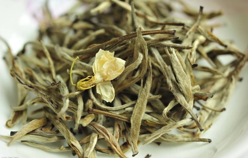 Как сушить жасмин для чая: что собирать, польза и вред цветов, заготовка