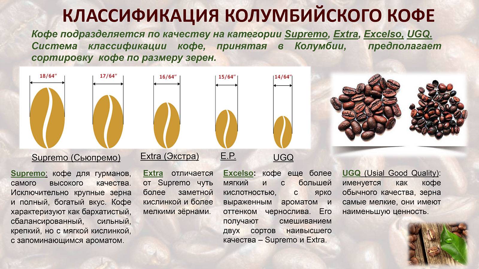Виды кофе. виды молотого кофе :: syl.ru