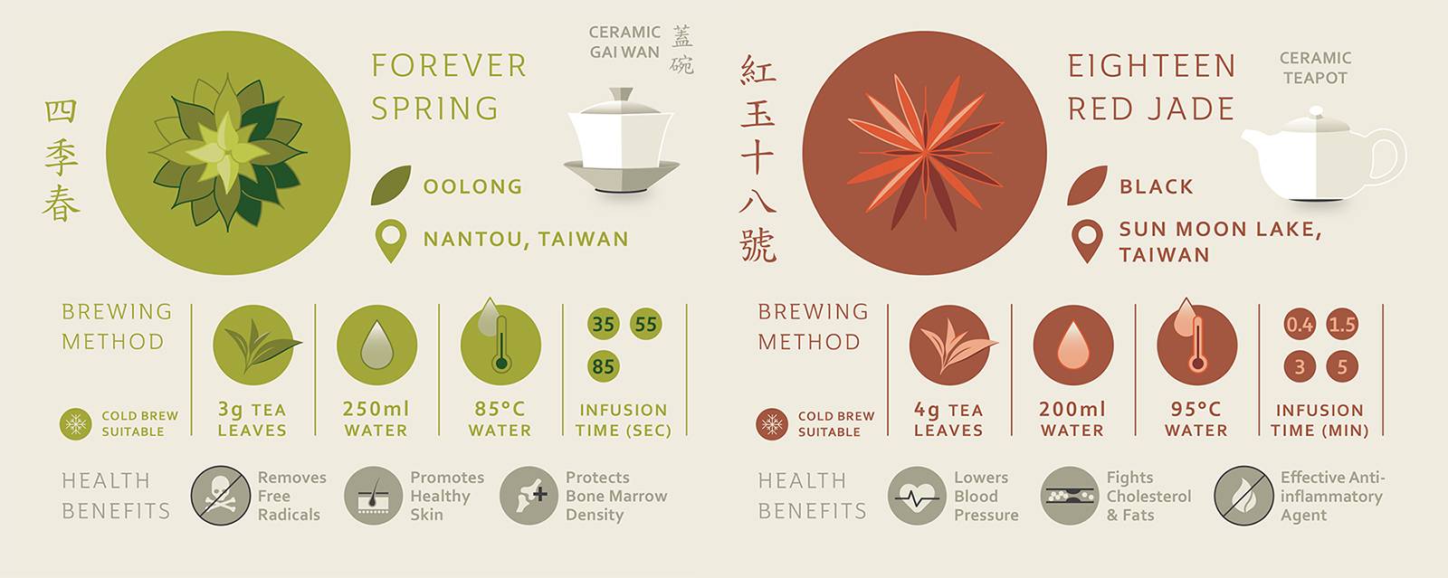 Учимся заваривать зеленый листовой чай по всем правилам